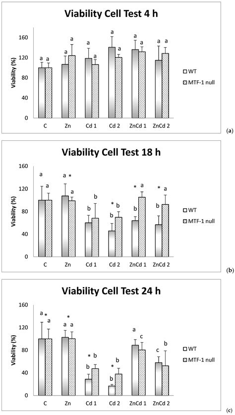 Cadmium–Zinc Interaction in Mus musculus Fibroblasts
