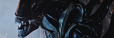 Neill Blomkamp Director Of District 9, Chappie, Confirms Alien Reboot ...