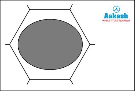 Plasmolysis in Biology: Definition, Types and Importance | AESL