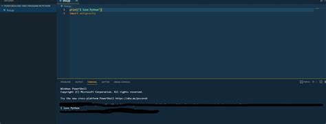 Python First Code 的图像结果