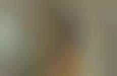 33 Examples of Multicultural Marketing