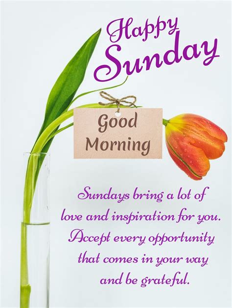 Happy Sunday Messages, Happy Sunday Pictures, Good Morning Sunday ...