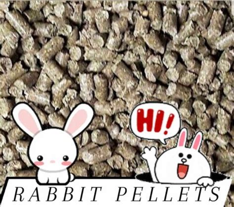Buy Premium Rabbit Pellets Complete Diet Food **Choose size Online at ...