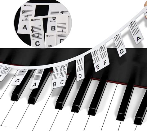 Removable Piano Keyboard Note Labels For Learning Piano Notes Guide ...