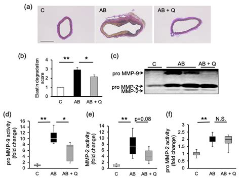 Preventive Effects of Quercetin against the Onset of Atherosclerosis ...