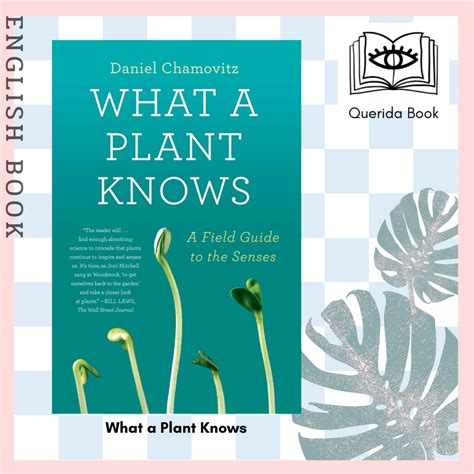 [Querida] หนังสือภาษาอังกฤษ What a Plant Knows : A Field Guide to the Senses (Updated Expanded ...