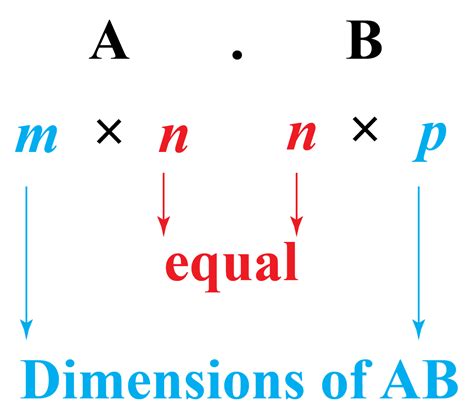 Image result for Matrix Multiplication Equation