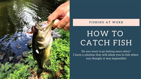 Image result for Catch Fish Methods