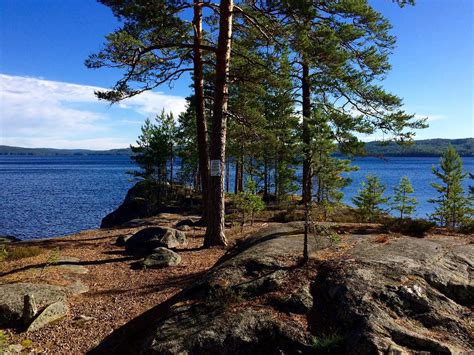 THE 10 BEST Places to Visit in Arvika (2026) - Must-See Attractions