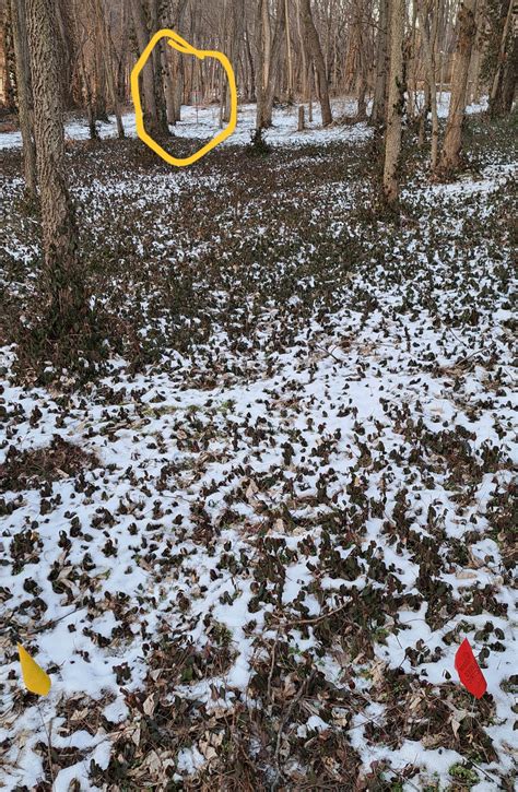 Three Sisters Park - Moonshine 9 Course - Chillicothe, Illinois | UDisc ...