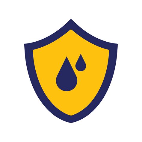 ForMen AceMax Capsules: Shilajit and Ashwagandha Capsules for Men ...