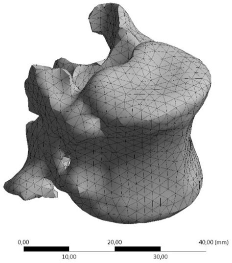 Characterization of Pig Vertebrae under Axial Compression Integrating ...