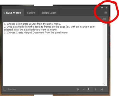 Data Variable InDesign 的图像结果