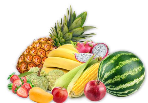 Dried fruits, Dried vegetables, Dried products