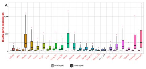 Functional Roles of ISG15/ISGylation in Cancer | Encyclopedia MDPI