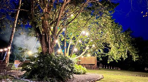 THE CABINS AT LVF (Palawan Island/Puerto Princesa) - Inn Reviews ...