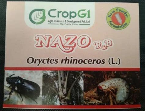 Funnel Traps - CropG1 Oryctes Rhinoceros Pheromone Lure Manufacturer ...