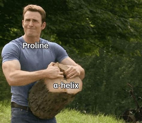 Structure Meme 的图像结果