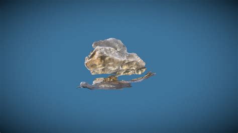 Kill by numbers - Download Free 3D model by pebbleclimbing [5ec4a96 ...