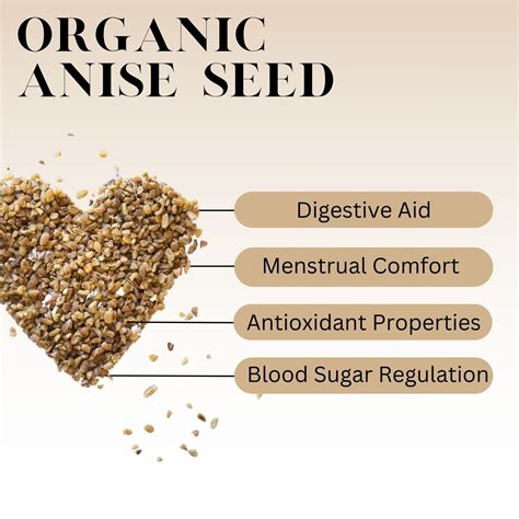 What is Anise Seed? - History, Benefits, and More | Full Leaf Tea Company