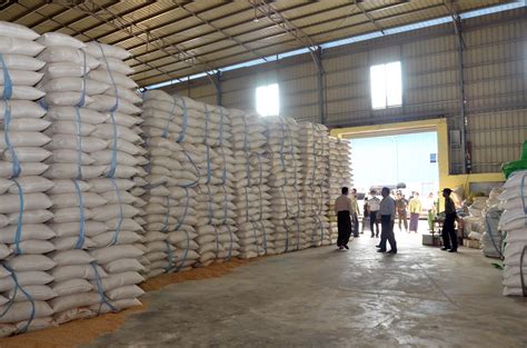 Myanmar Earns $300 Mln From Rice Export In Past 5 Months - Global New Light Of Myanmar