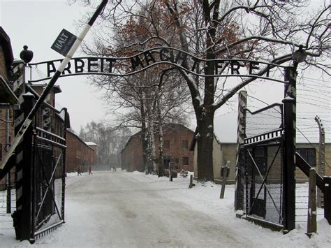 Auschwitz Tour - Krakow Trip - Tripadvisor