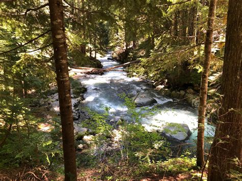 Stevens Canyon Waterfalls — Washington Trails Association