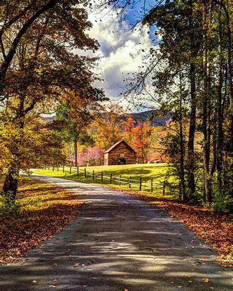 Country Roads 的图像结果