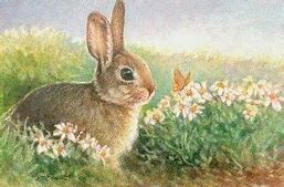 Image result for Spring Time Bunny Butterfly