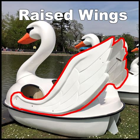 Swan Pedal Boat