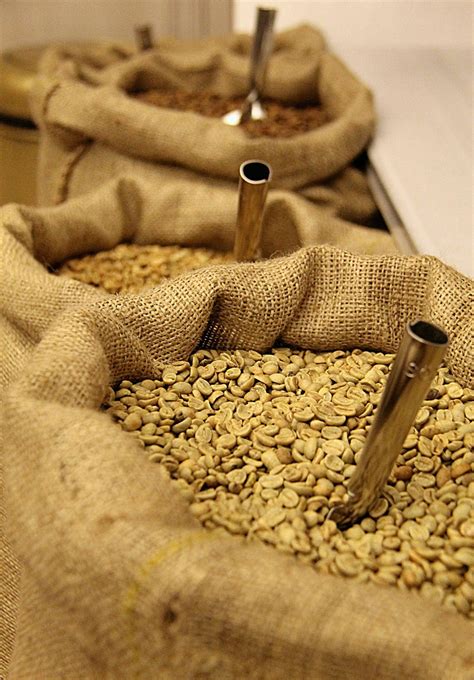 What is white coffee beans benefits and 3 recipes – Artofit