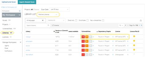 Image result for Veracode SCA