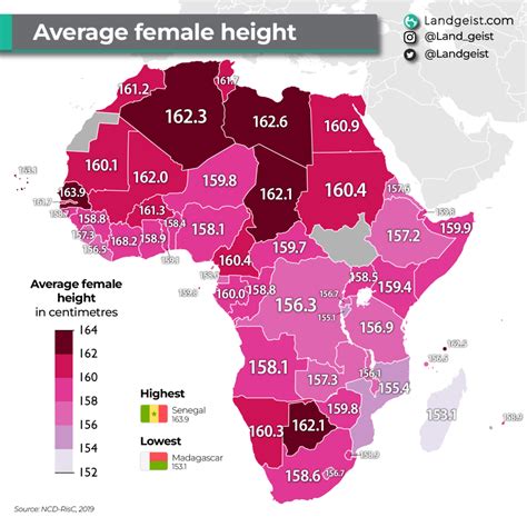 Average Female and Male Height in Africa – Landgeist