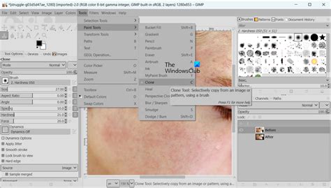 Image result for How to Repaint Using GIMP