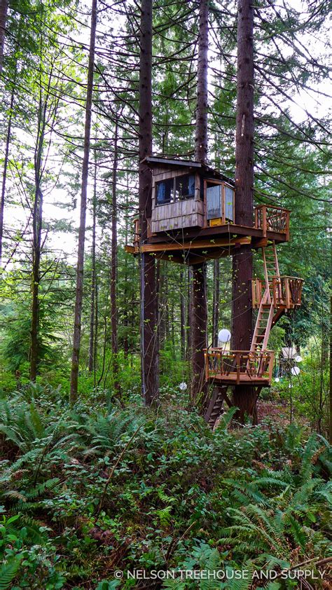 Image result for Tree House Ladder
