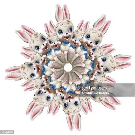 How Fast Do Rabbits Multiply 的图像结果