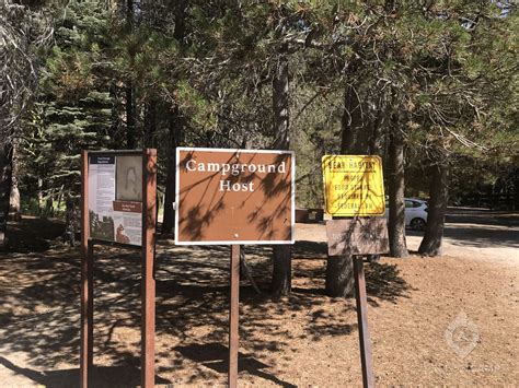 Tamarack Flat Campground, Yosemite National Park, CA - Latest Reviews ...