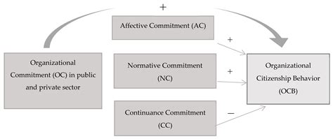 Which of the Following Best Exemplifies Organizational Citizenship ...