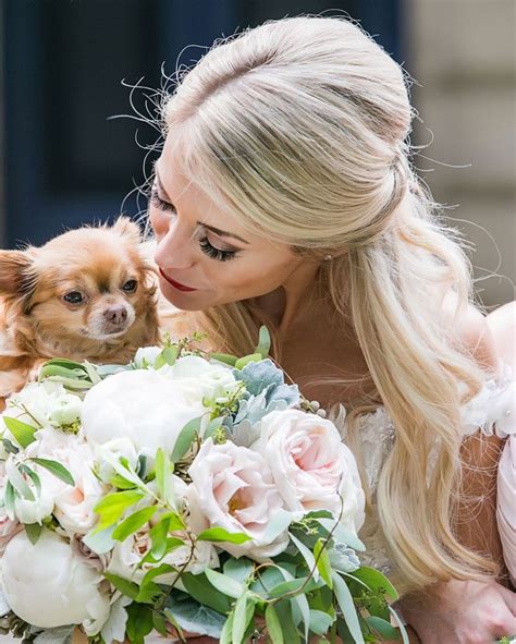 Wedding Bride Dogs 的图像结果