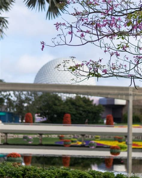 Image result for Epcot Simple Plan