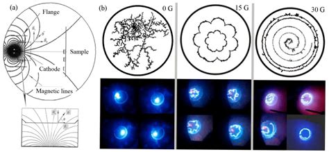 Progress in the Circular Arc Source Structure and Magnetic Field Arc ...