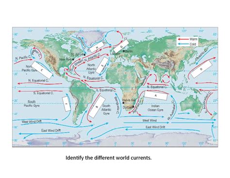 Current Map Diagram 的图像结果
