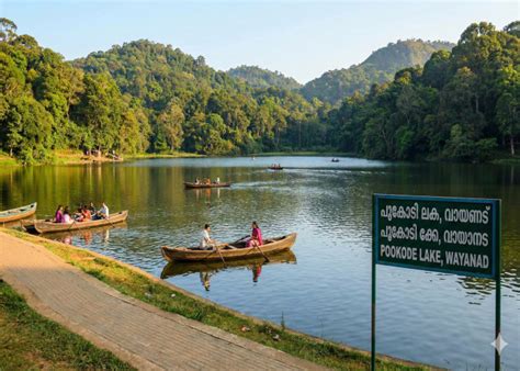 Attractions - DTPC Wayanad | Rediscover oneself at Wayanad by exploring ...
