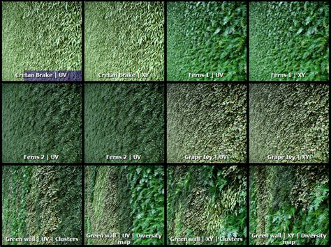 Image result for Forest Pack Pro