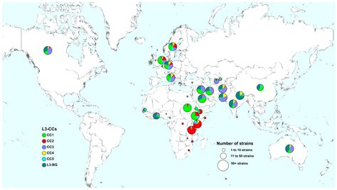 Origin and Global Expansion of Mycobacterium tuberculosis Complex Lineage 3