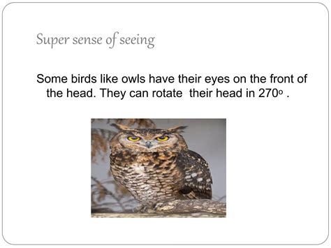 Class 5th Science Chapter Super Sense 的图像结果