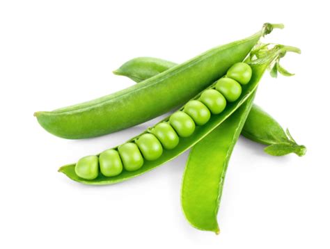 Peas Seeds – OurBalconyGarden