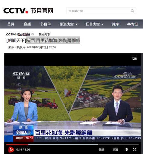 中央13台在线直播观看（中央电视台各频道电视节目表）-天津津南听闻