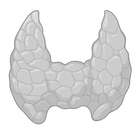 Image result for Reproduction Examination