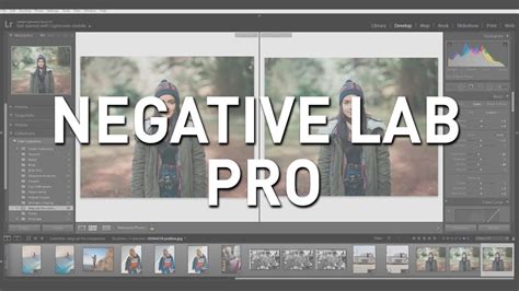 Image result for Negative Lab Pro Installation